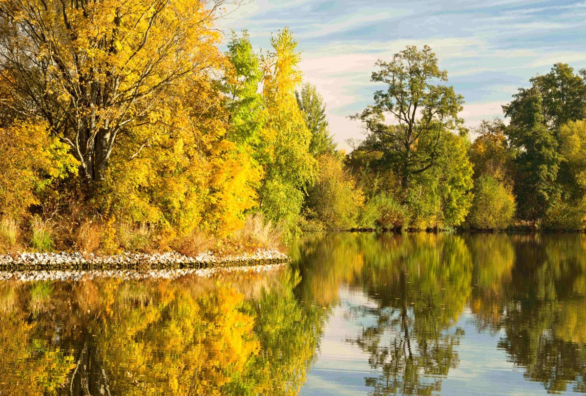 Telč pohledem Romana Kuřímského