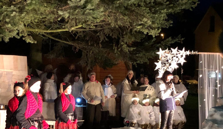 Vánoční stromečky na Jihlavsku