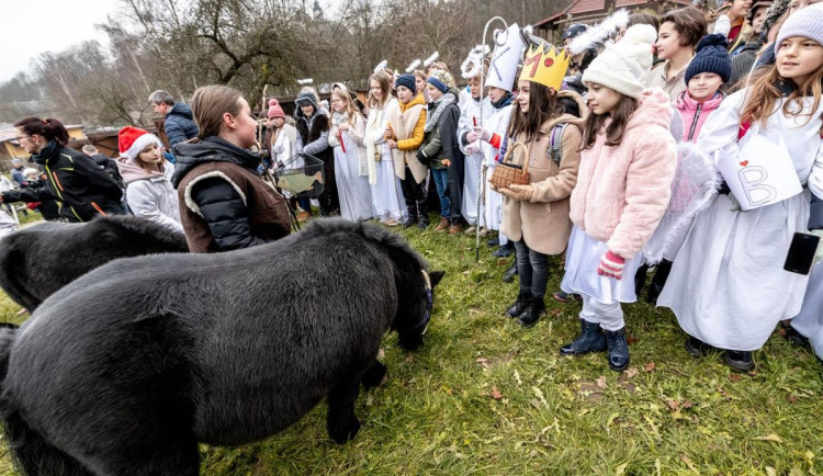 Rekord v jihlavské zoologické zahradě