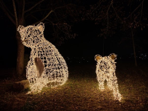 Vánoční výzdoba v Třebíči