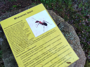 Křížová cesta u Mysliboře