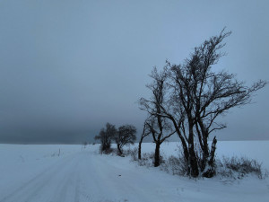 Zimní krajina u Pavlova