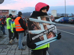 Pietní akt u jatek v Kostelci