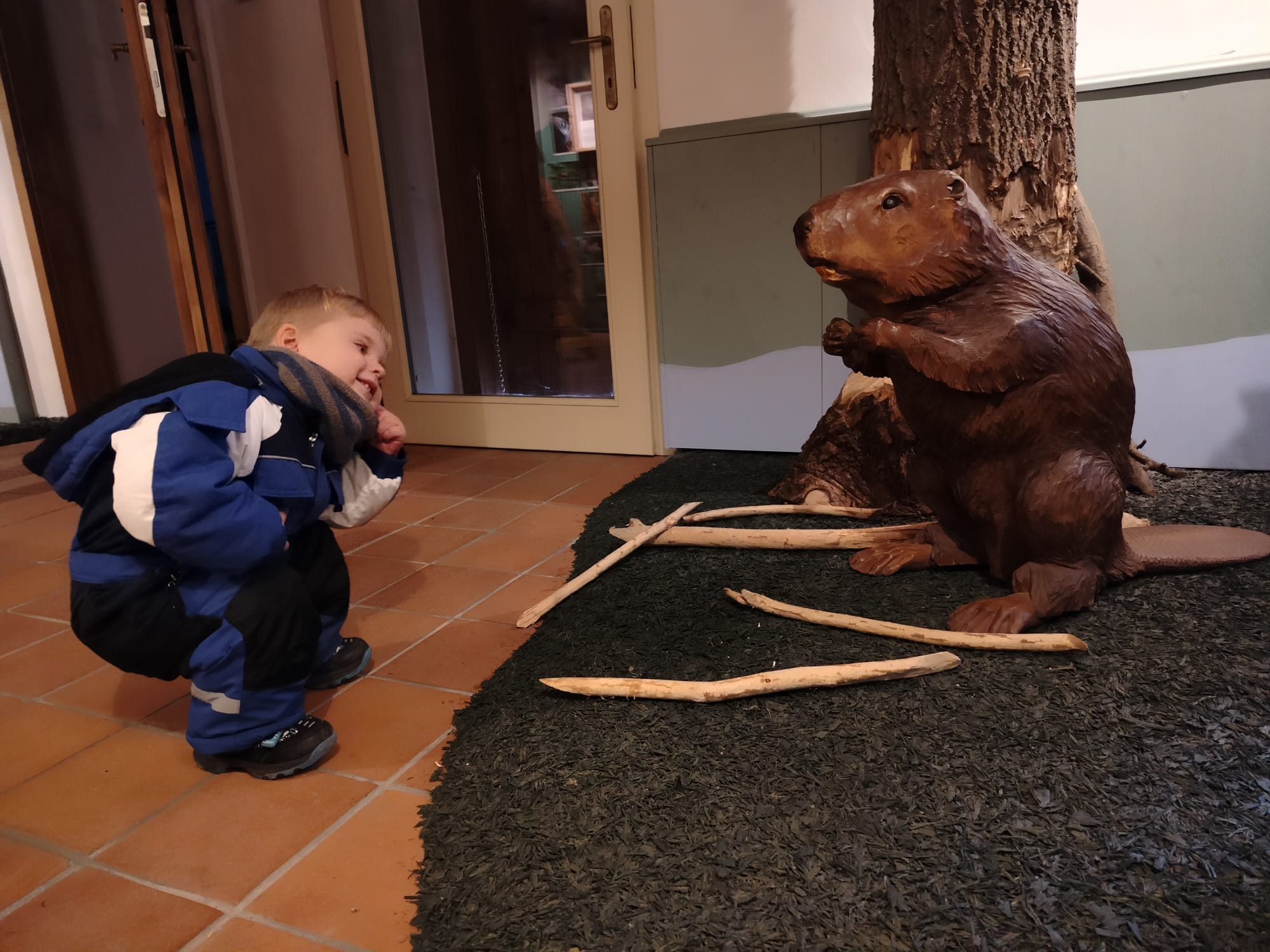 Dům přírody