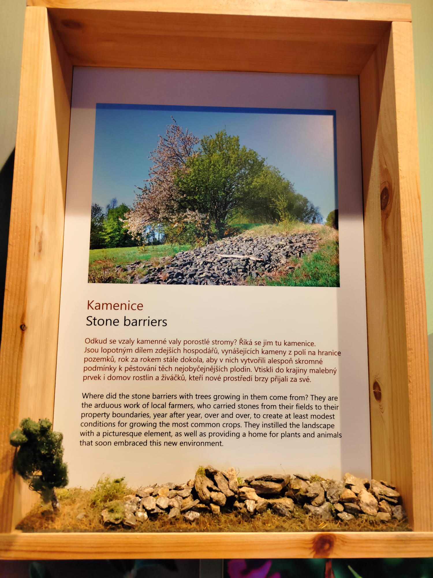 Dům přírody