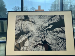 Výstava v novoměstské nemocnici