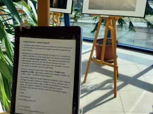 Výstava v novoměstské nemocnici