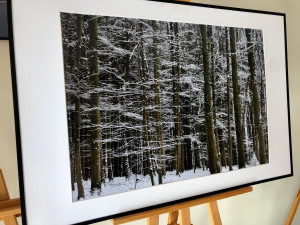 Výstava v novoměstské nemocnici