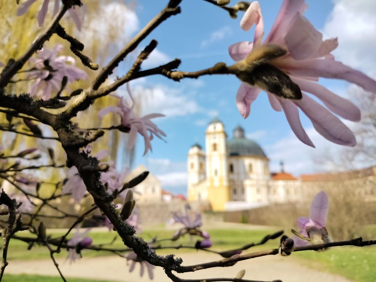 Park u zámku v Jaroměřicích nad Rokytnou