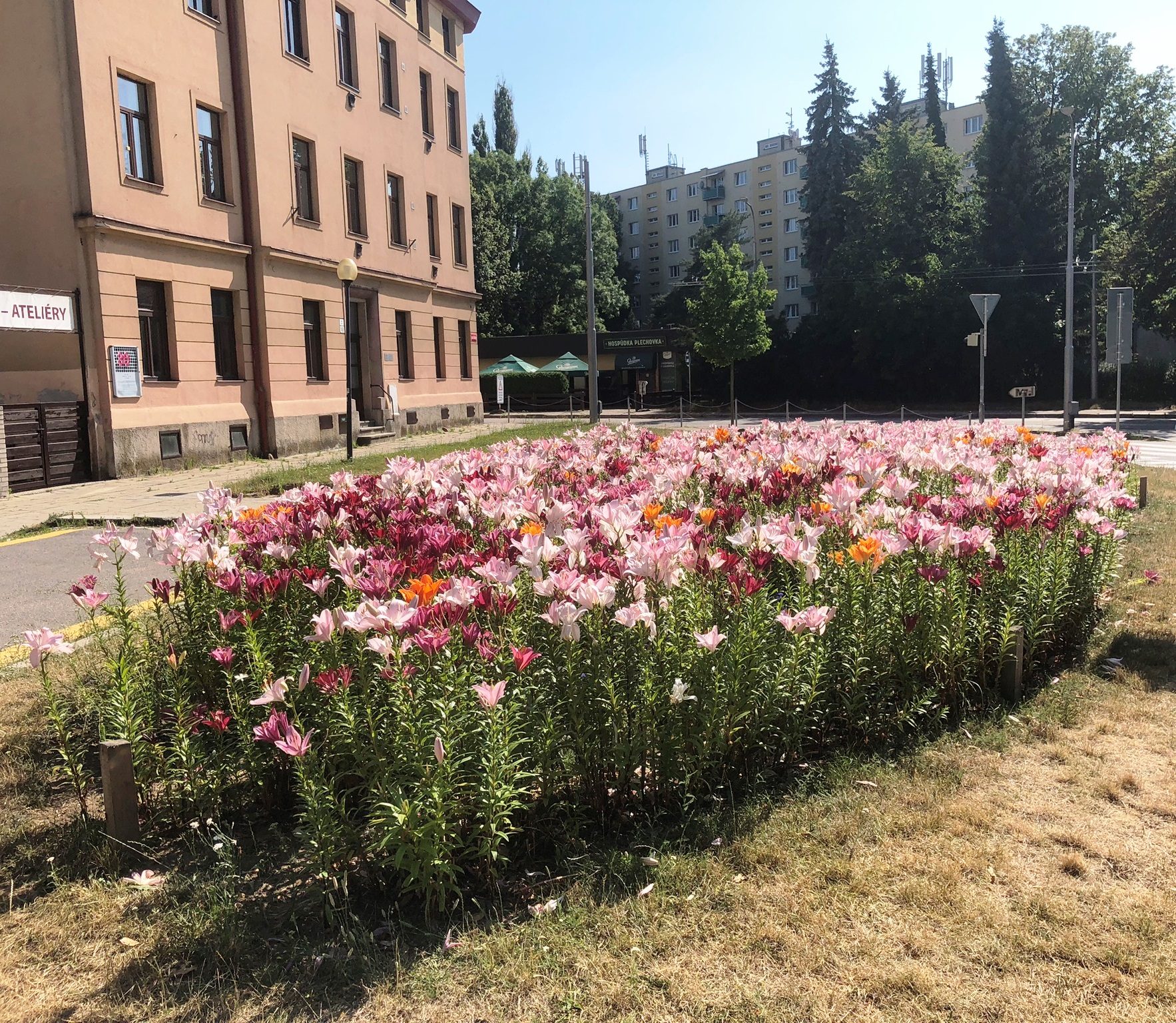 Ulice Jana Masaryka 