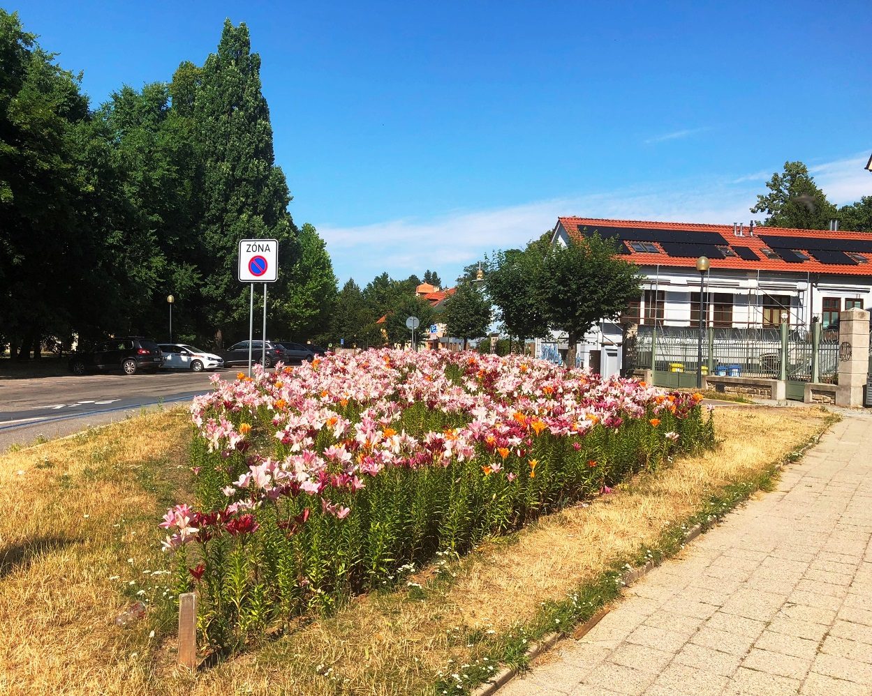 Ulice Jana Masaryka 