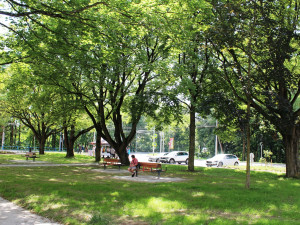 Otevření nového terminálu u hlavního vlakového nádraží v Jihlavě