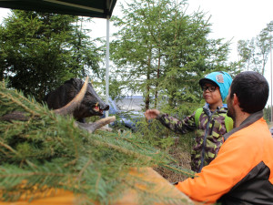 Den za obnovu lesa 2023, lokalita Pouště