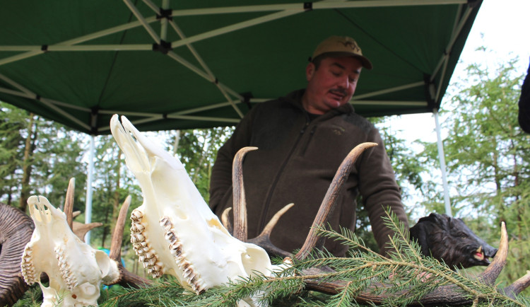 Den za obnovu lesa 2023, lokalita Pouště