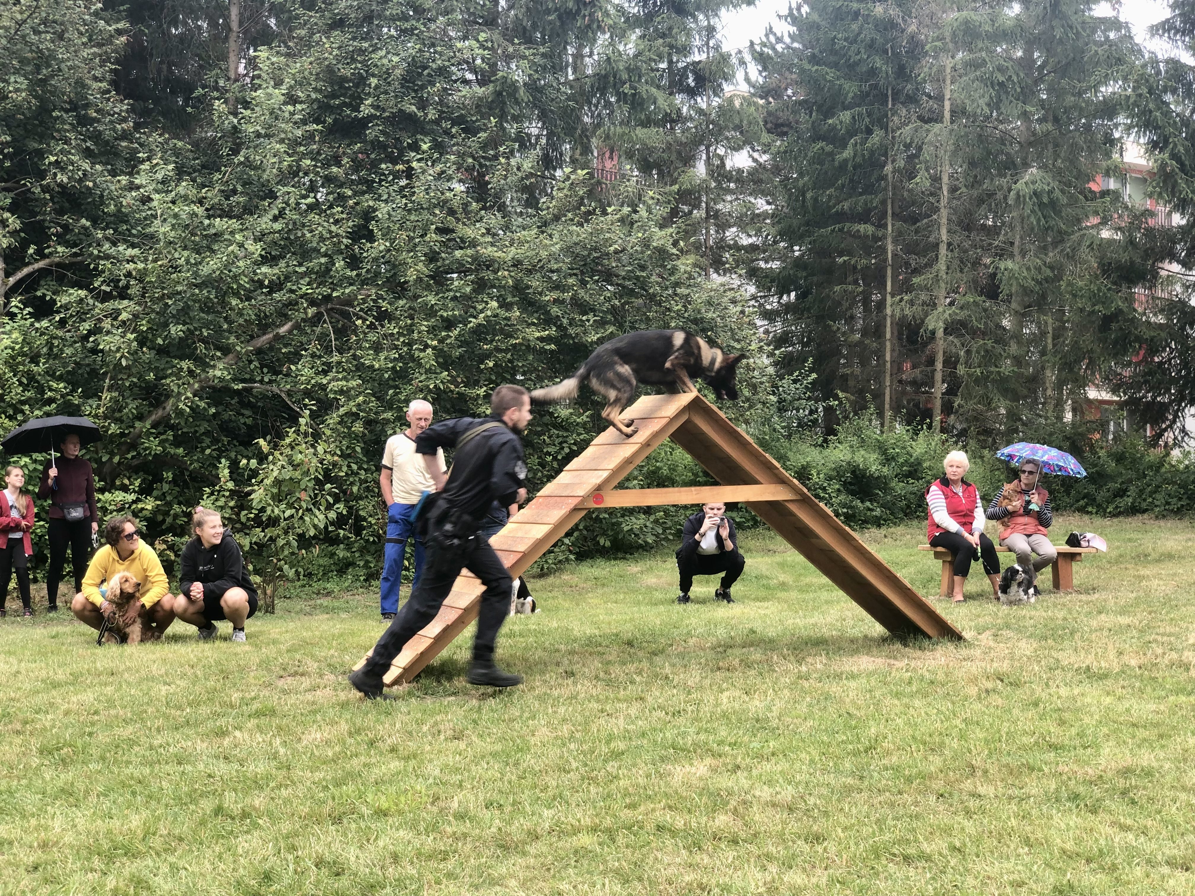 Nové psí hřiště v Jihlavě
