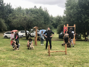 Nové psí hřiště v Jihlavě