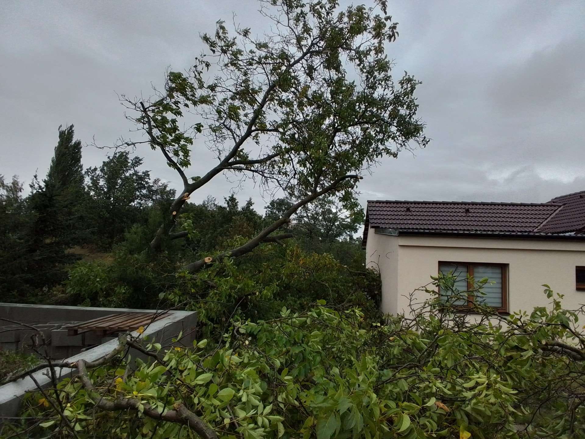 Hasiči z Kraje Vysočina, foto: HZS Kraje Vysočina