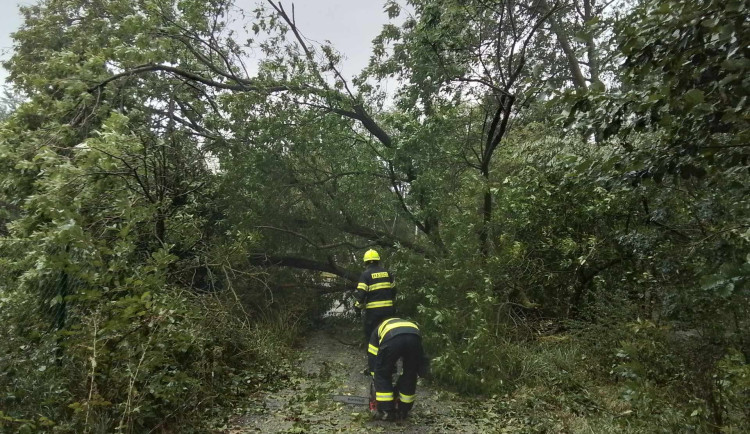 Hasiči z Kraje Vysočina, foto: HZS Kraje Vysočina