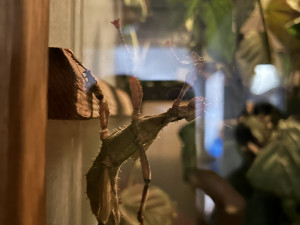 Jarní prázdniny v Zoo Jihlava