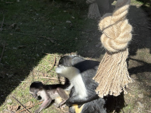 Jarní prázdniny v Zoo Jihlava