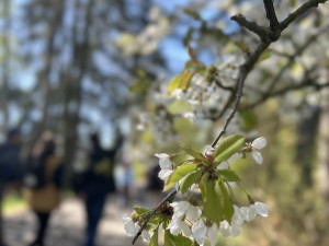 Den proti úložišti 2025