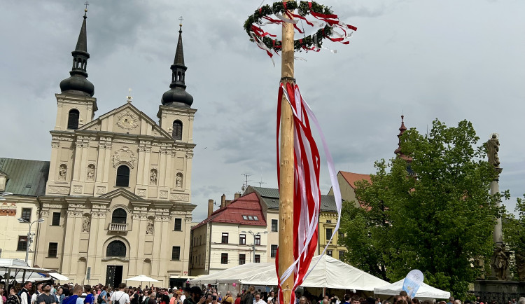 Májové slavnosti a zaplétání máje v Jihlavě
