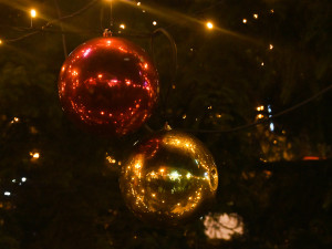 Slavnostní rozsvícení vánočního stromu v Jihlavě