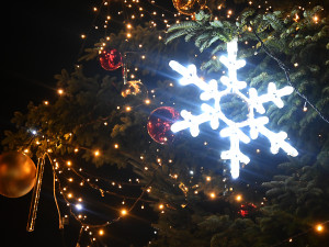 Slavnostní rozsvícení vánočního stromu v Jihlavě