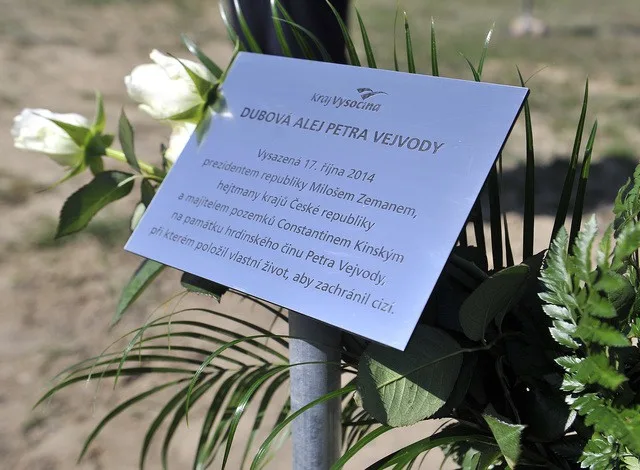 Alej nese Petrovo jméno