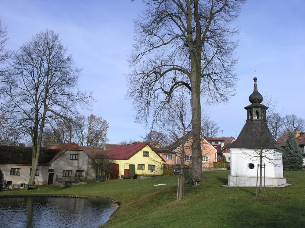 Putimov.