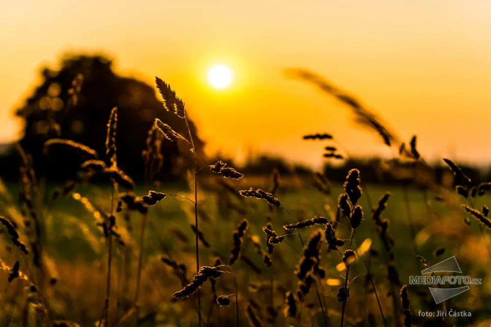 Západ slunce na podvečerní louce - Následuj svůj cíl, jdi za sluncem.