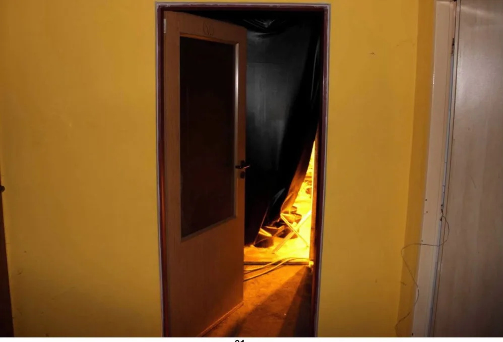 Kriminalisté dnes odhalili v Novém Městě na Moravě pěstírnu konopí