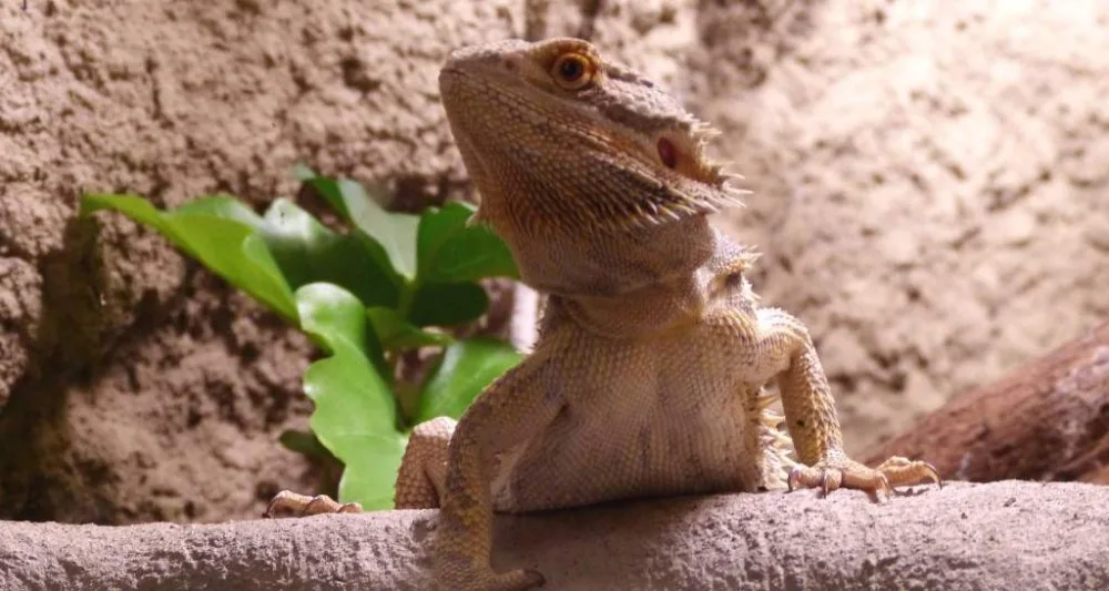 Zoo Jihlava