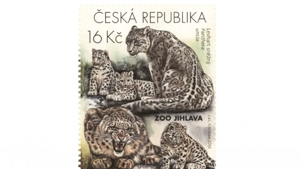 Česká pošta vydává edici známek s levharty sněžnými z jihlavské zoo