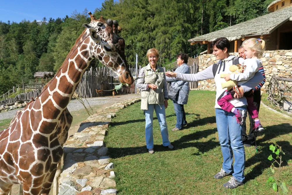 Zoo Jihlava poprvé ve své historii překonala hranici 300 tisíc návštěvníků za rok