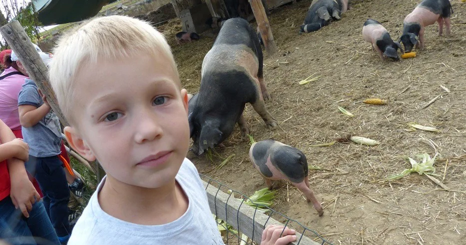 Na farmě v Sasově se dnes konal tradiční Biozemědělský den