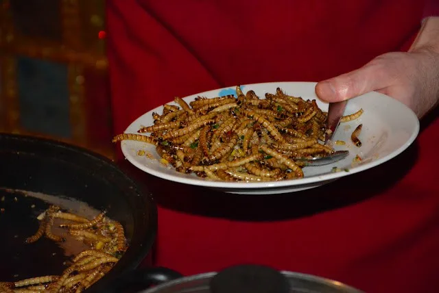 Červi, sarančata nebo smažený šváb. V Červeném Kříži se podávaly hmyzí speciality