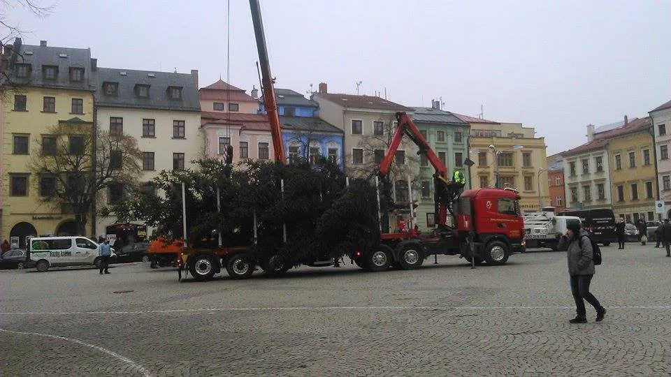 Na jihlavské náměstí dorazil vánoční strom. Vyrostl na největším sídlišti Březinky