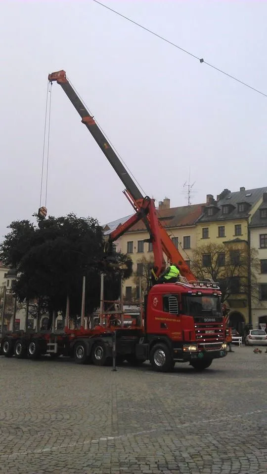 Na jihlavské náměstí dorazil vánoční strom. Vyrostl na největším sídlišti Březinky