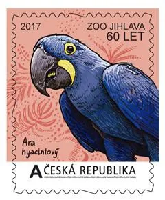 Ara hyacintový