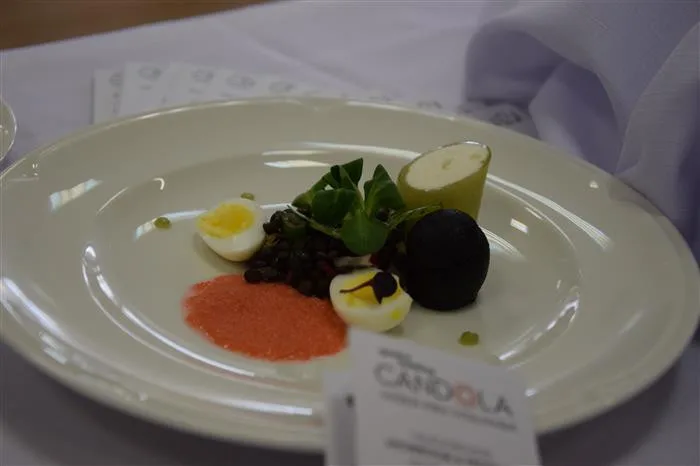 Třebíčští mladí kuchaři brali stříbro a bronz na mezinárodním Gastrofestivalu v Nitře