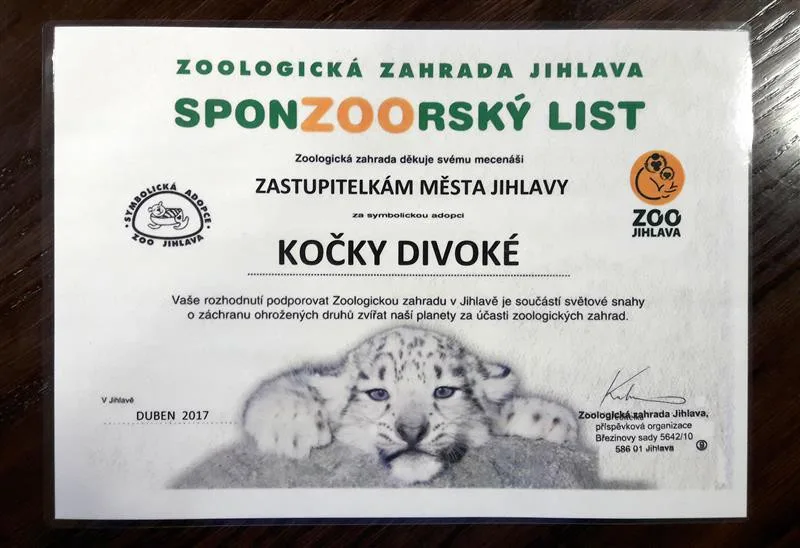 Jihlavské zastupitelstvy se také letos staly adoptivními rodiči kočky divoké v jihlavské zoo
