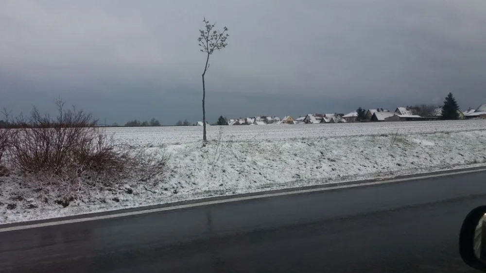Silnice u Nového Veselí