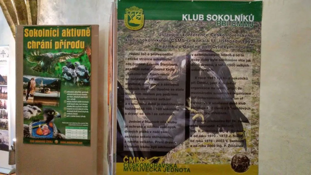 ihlavskou radnici zdobí téměř pět set trofejí zvěře. K vidění je obří kňour nebo kamzík