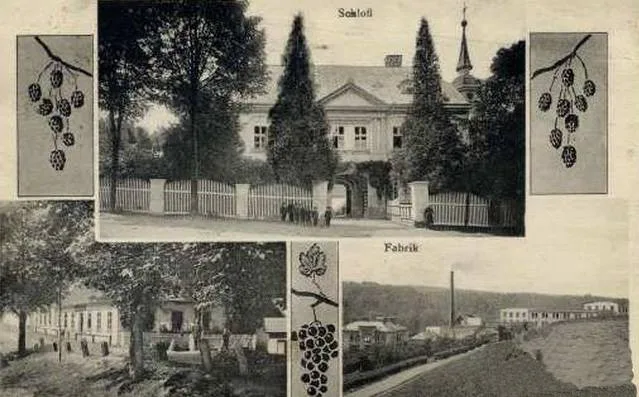 Pohlednice z roku 1913