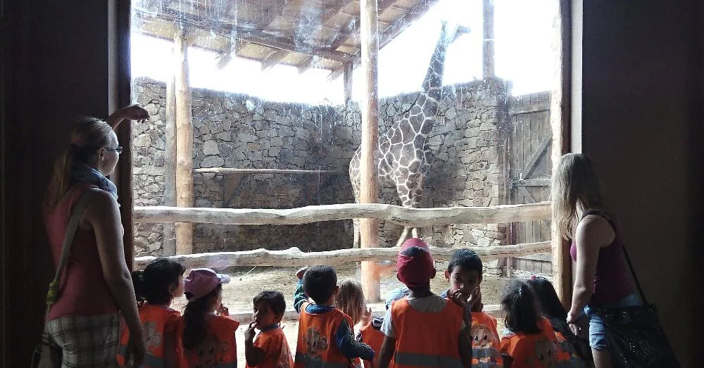 Děti z Klubíčka pozorovaly ptáky a zúčastnily se soutěže v jihlavské zoologické zahradě