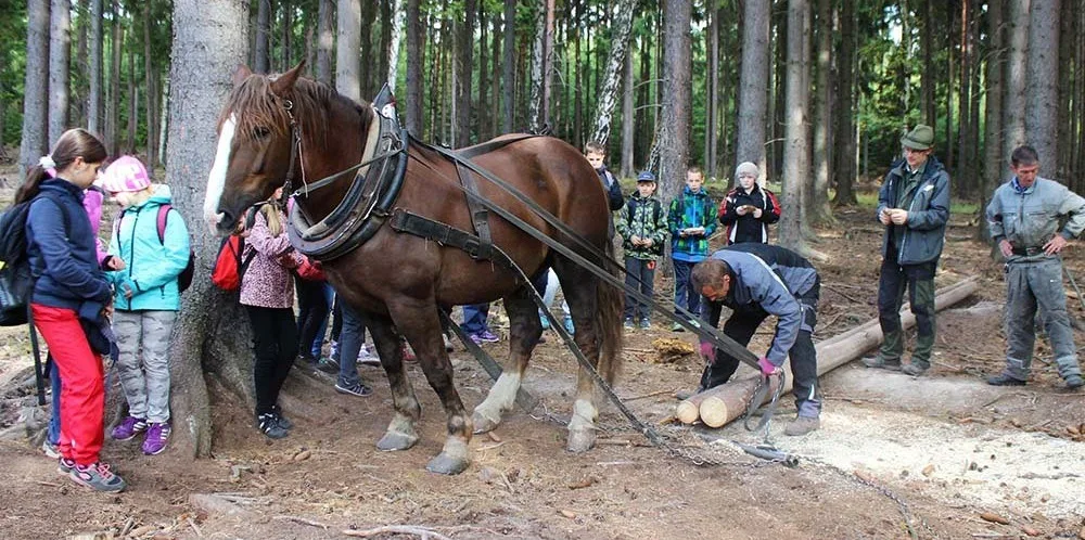 Ilustrační foto