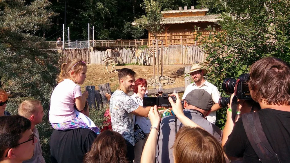 Sláva ve výběhu zeber. Před měsícem narozená kobylka byla pokřtěna na Medlin