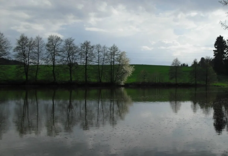 Rybník Ředkovec
