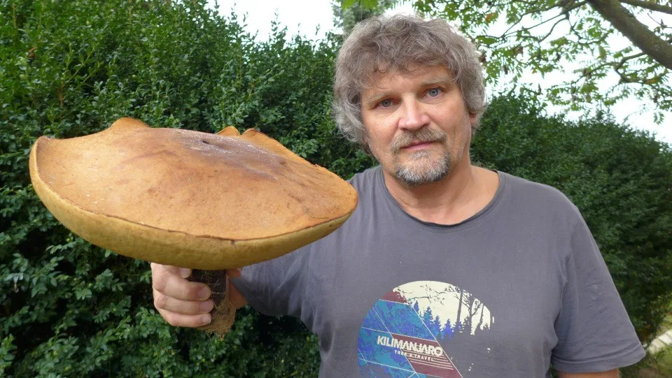 Zdeněk Rafaj z Humpolce našel rekordního křemenáče. Obvod klobouku je téměř jeden metr